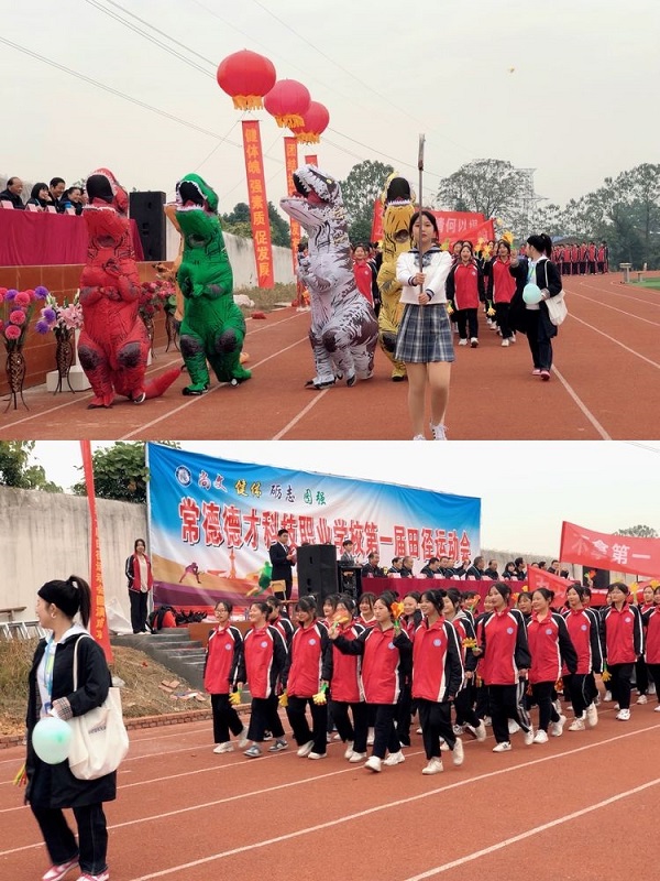 常德德才科技職業(yè)學校,常德招生就業(yè),電子商務專業(yè)學校,專業(yè)學校報考哪里好